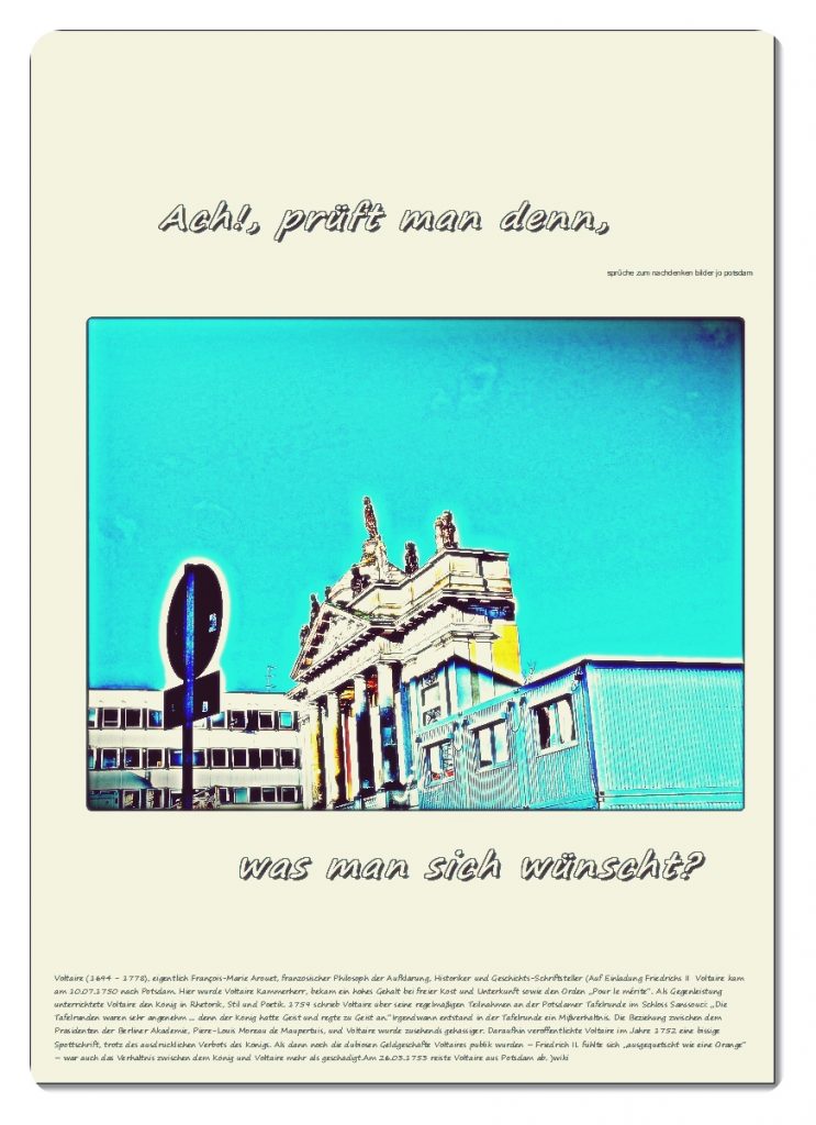 Ach-prueft-man-denn-743x1024 #voltaire