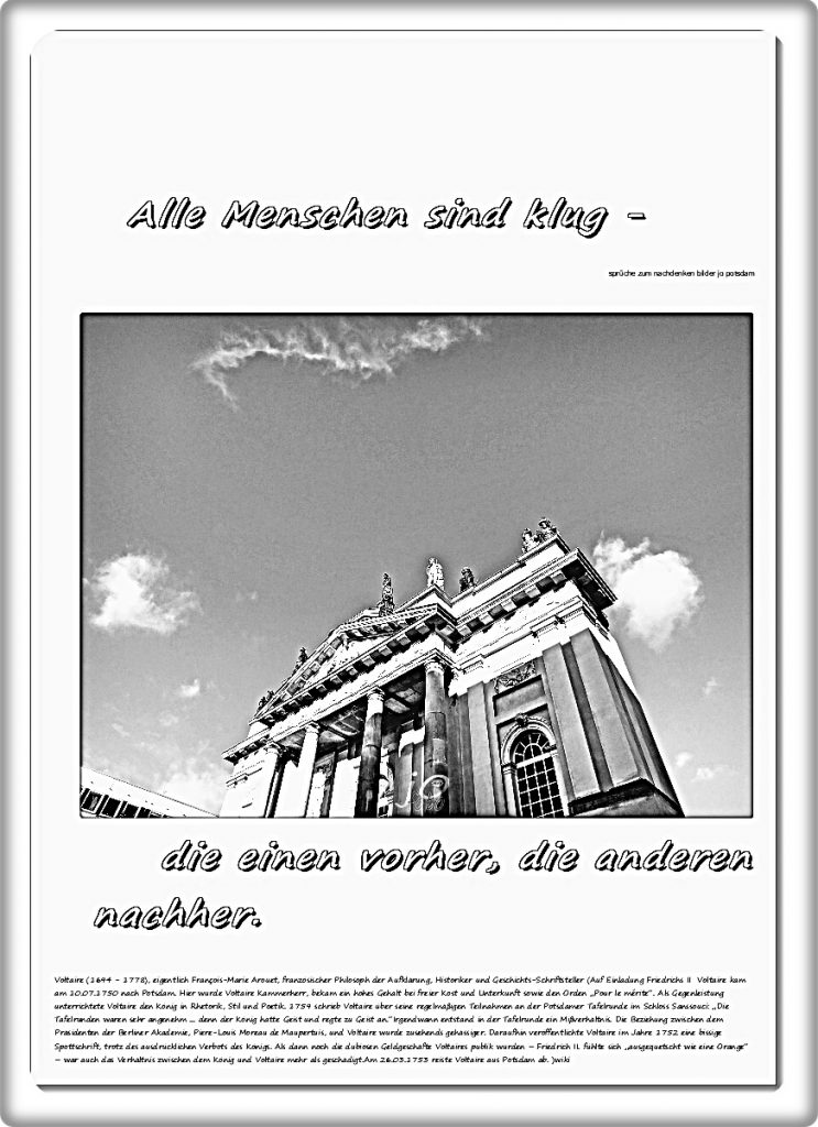Alle-Menschen-sind-klug-1-743x1024 #voltaire