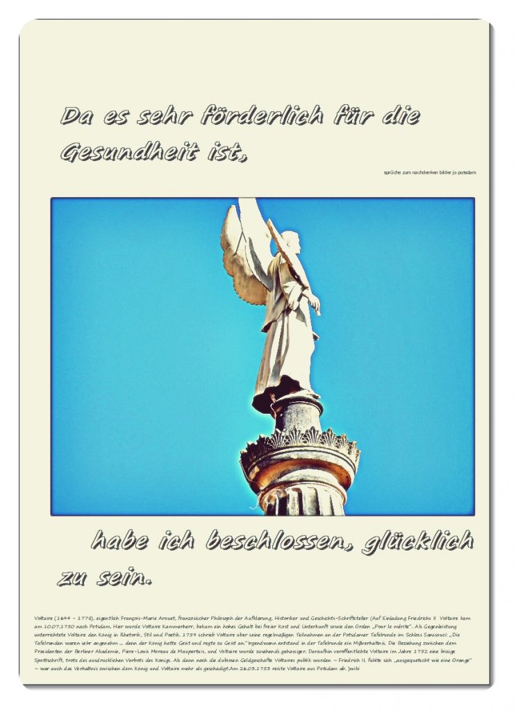 Da-es-sehr-foerderlich-fuer-die-Gesundheit-ist-743x1024 #voltaire