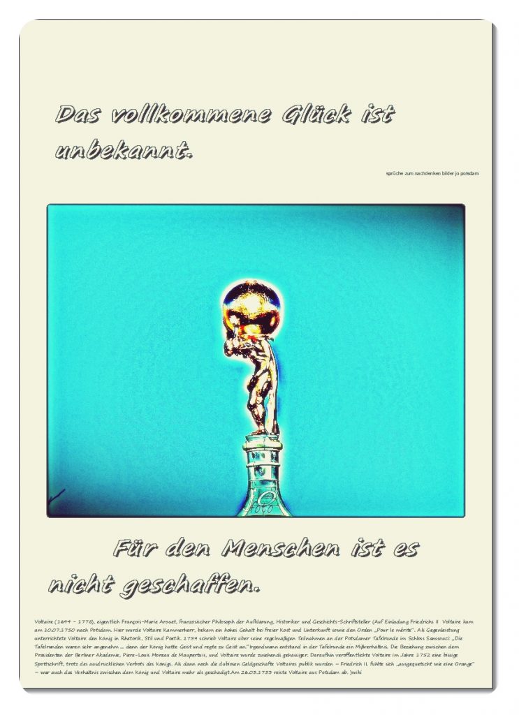 Das-vollkommene-Glueck-ist-unbekannt-743x1024 #voltaire