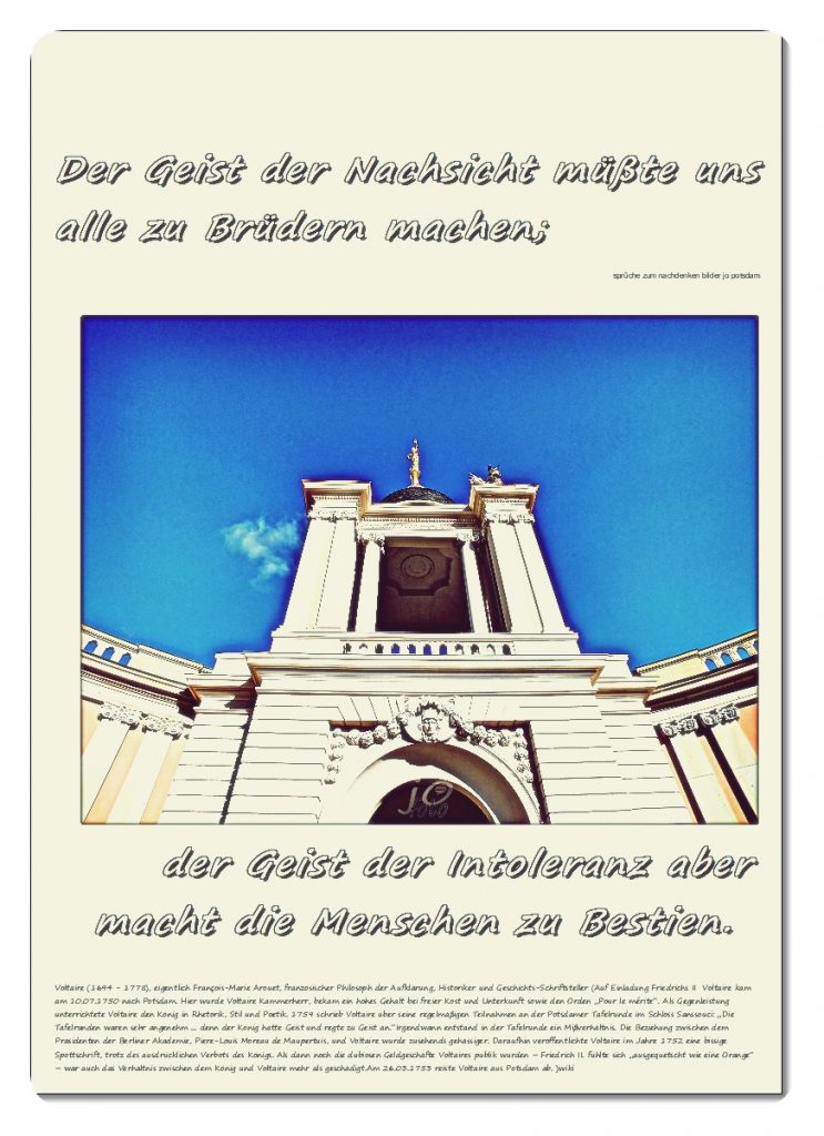 Der-Geist-der-Nachsicht-muesste-uns-alle-zu-Bruedern-machen-743x1024 #voltaire
