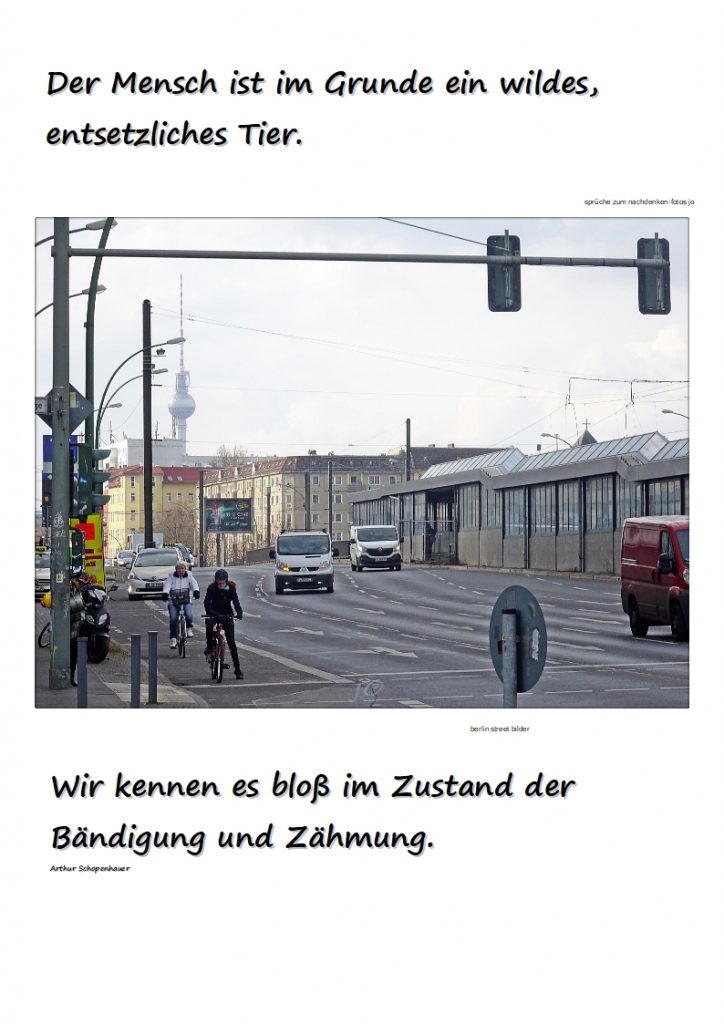 Der-Mensch-ist-im-Grunde-ein-wildes-entsetzliches-Tier-724x1024 #mensch #tier #bändigung und #zähmung #schopenhauer