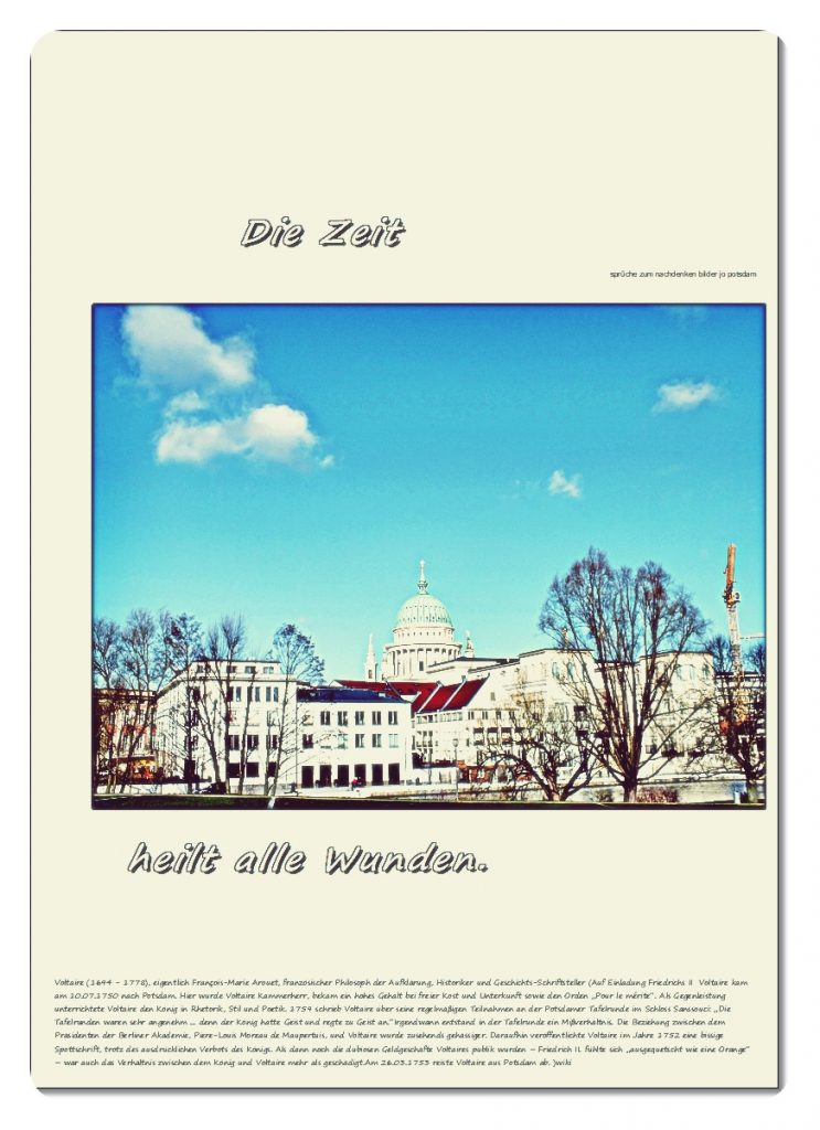 Die-Zeit-743x1024 #voltaire