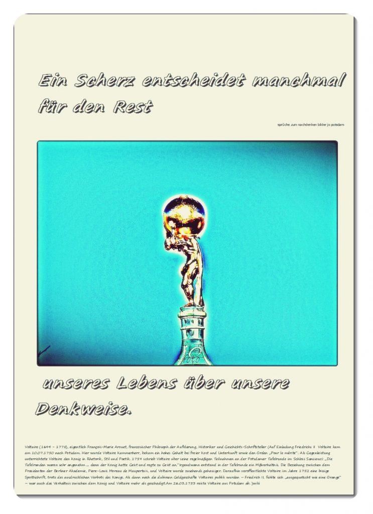 Ein-Scherz-entscheidet-manchmal-fuer-den-Rest-743x1024 #voltaire