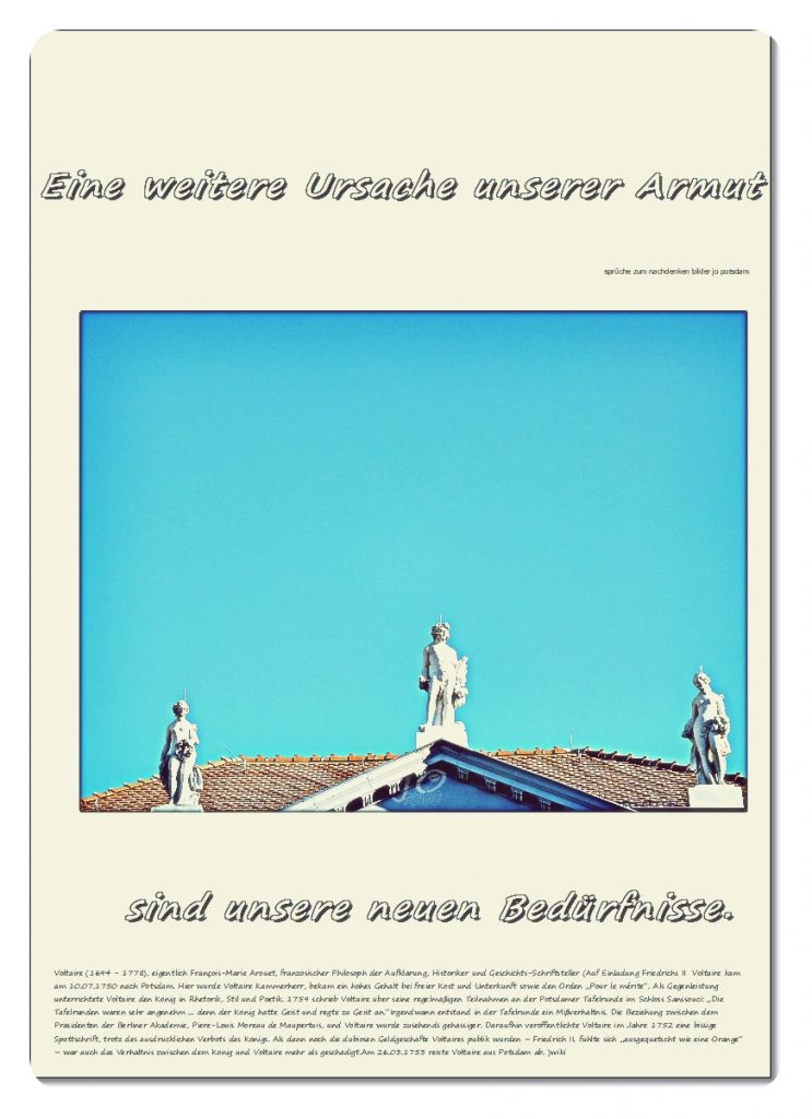 Eine-weitere-Ursache-unserer-Armut-s-743x1024 #voltaire