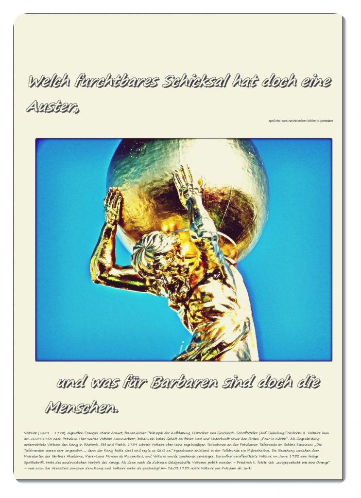 Welch-furchtbares-Schicksal-hat-doch-eine-Auster1-743x1024 #voltaire