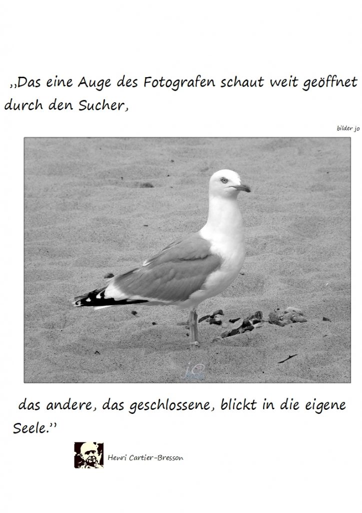 „Das-eine-Auge-des-Fotografen-schaut-weit-geoeffnet-durch-den-Sucher1-724x1024 das #auge des #fotografen