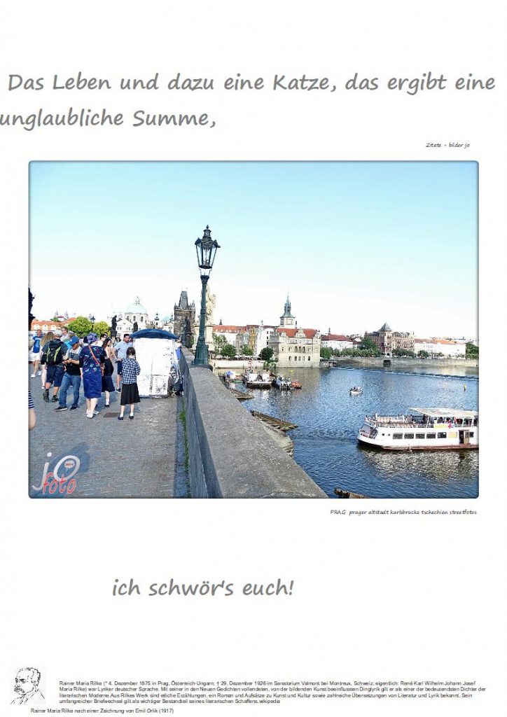 Das-Leben-und-dazu-eine-Katze-das-ergibt-eine-unglaubliche-Summe-724x1024 #katze