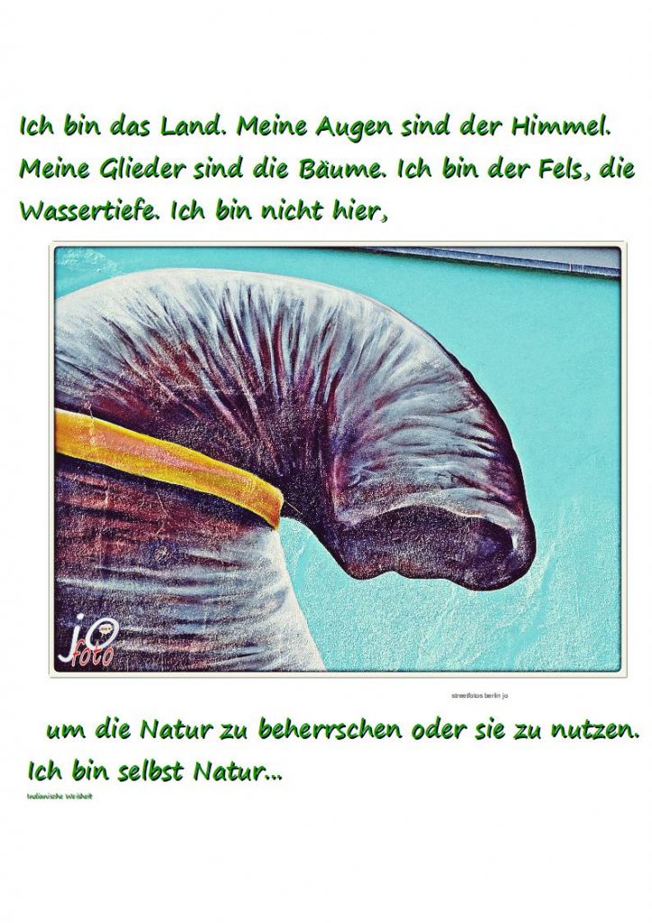 Ich-bin-das-Land.1-724x1024 #derfels