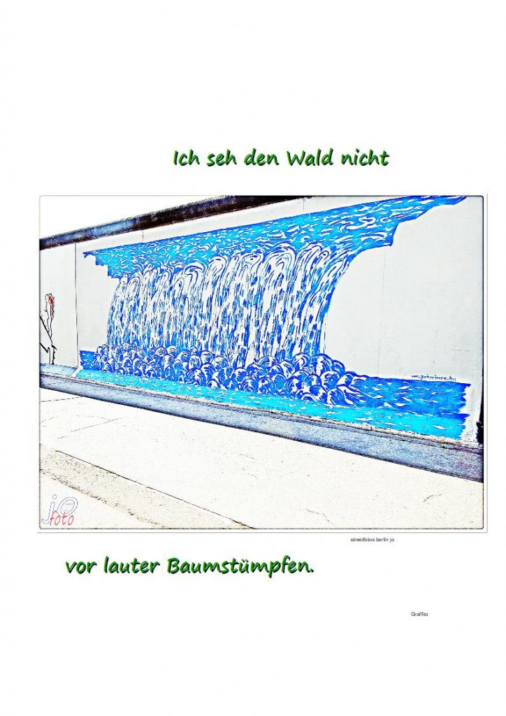 Ich-seh-den-Wald-nicht1-724x1024 #waldsuche