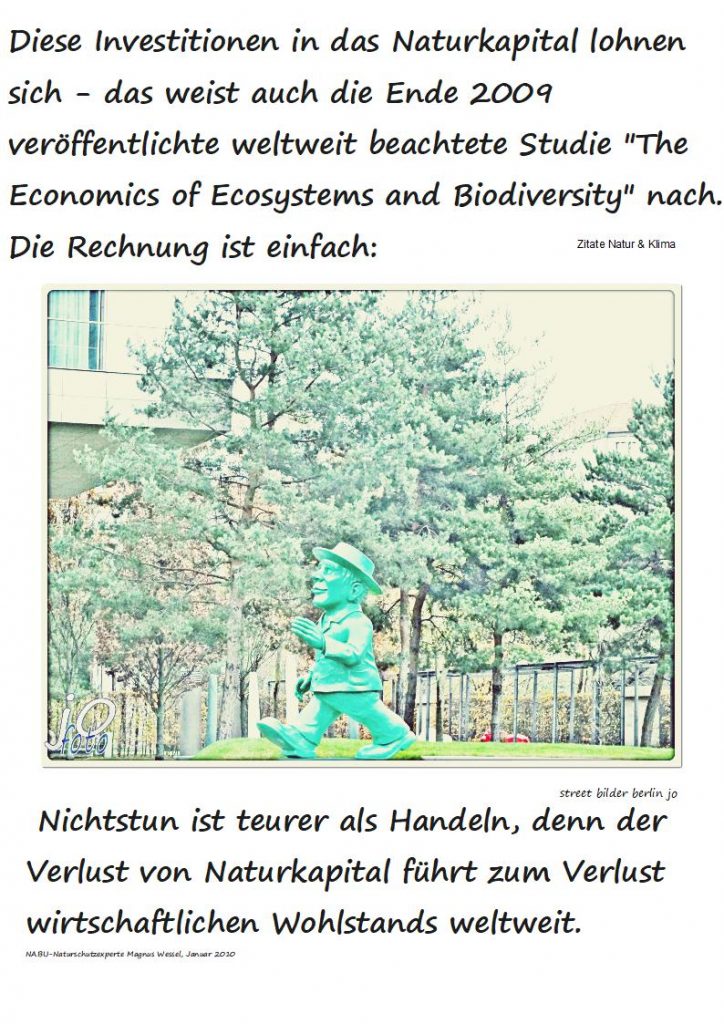 Diese-Investitionen-in-das-Naturkapital-lohnen1-724x1024 #naturkapital