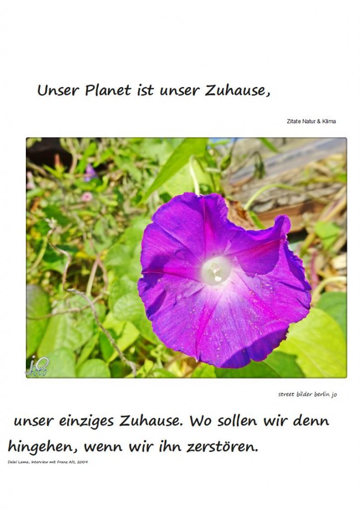 Unser-Planet-ist-unser-Zuhause2-724x1024 #unser #planet