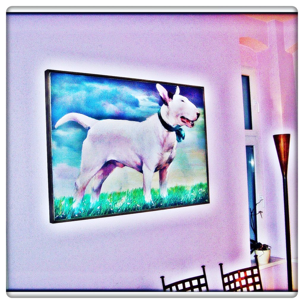 IMG_20160930_222255-1024x1024 #hund