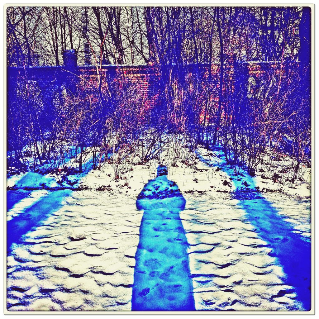 IMG_20170117_212854_779-1024x1024 #schatten